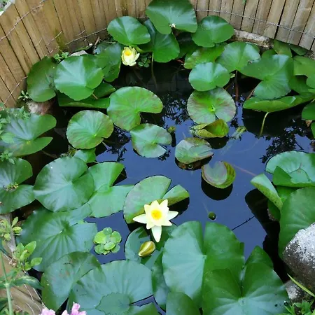 Up To - Panorama * Verona