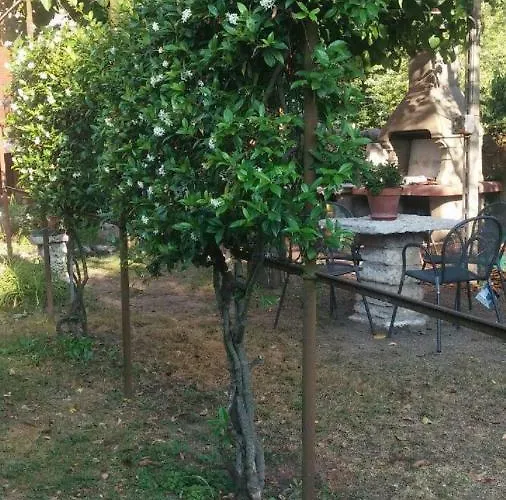 Up To - Panorama Apartment