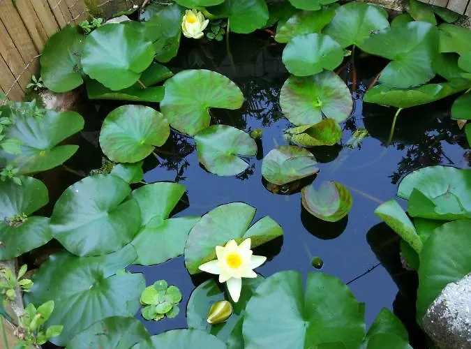 Up To - Panorama * Verona