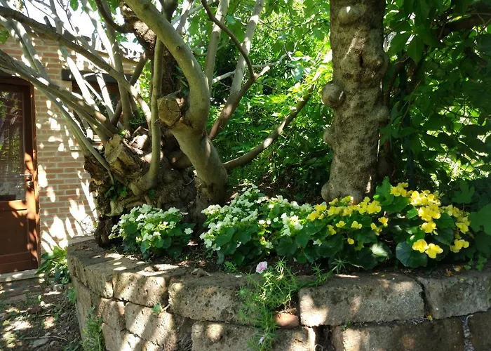 Up To - Panorama Verona